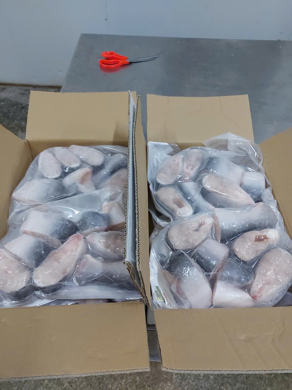 Pangasius (Basa) – 2