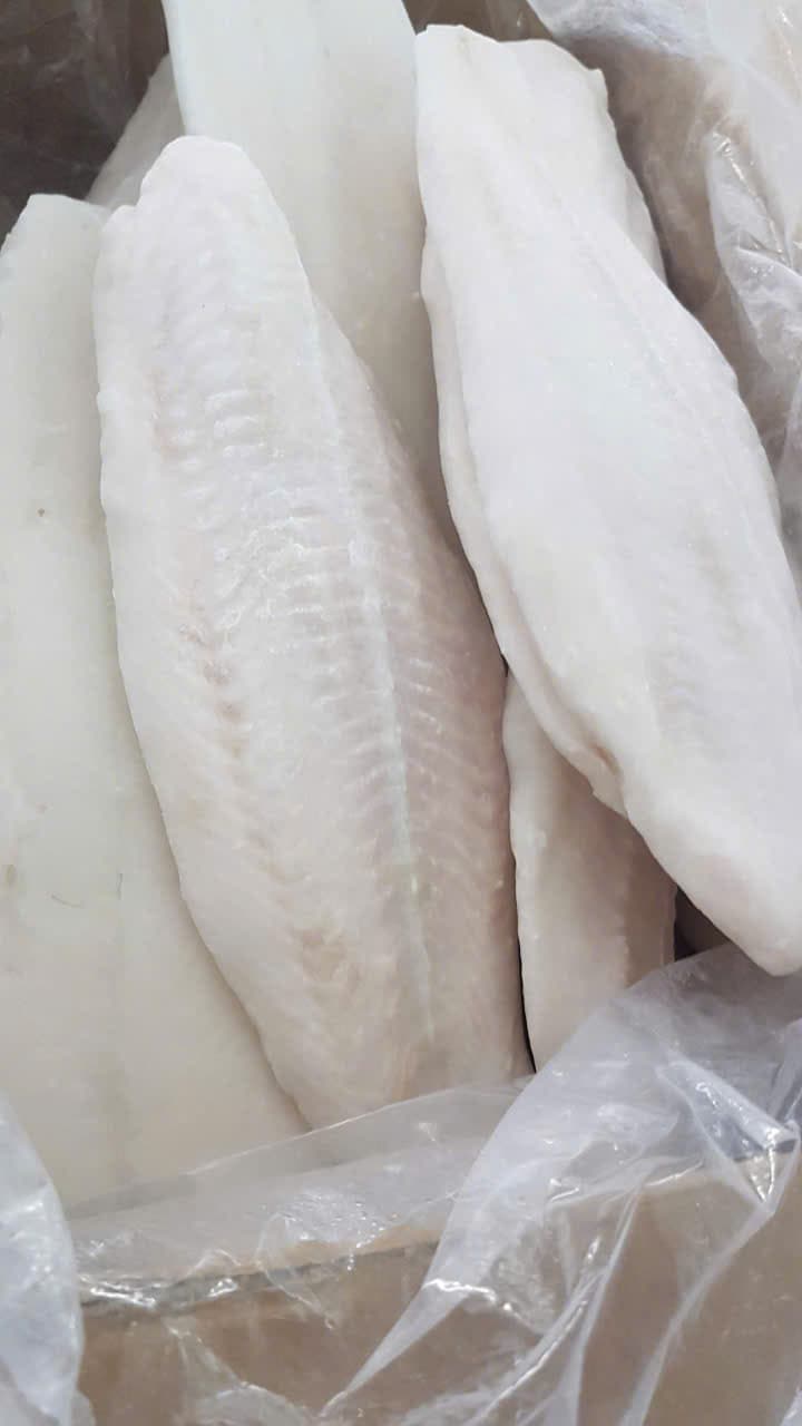 Pangasius (Basa) – 8