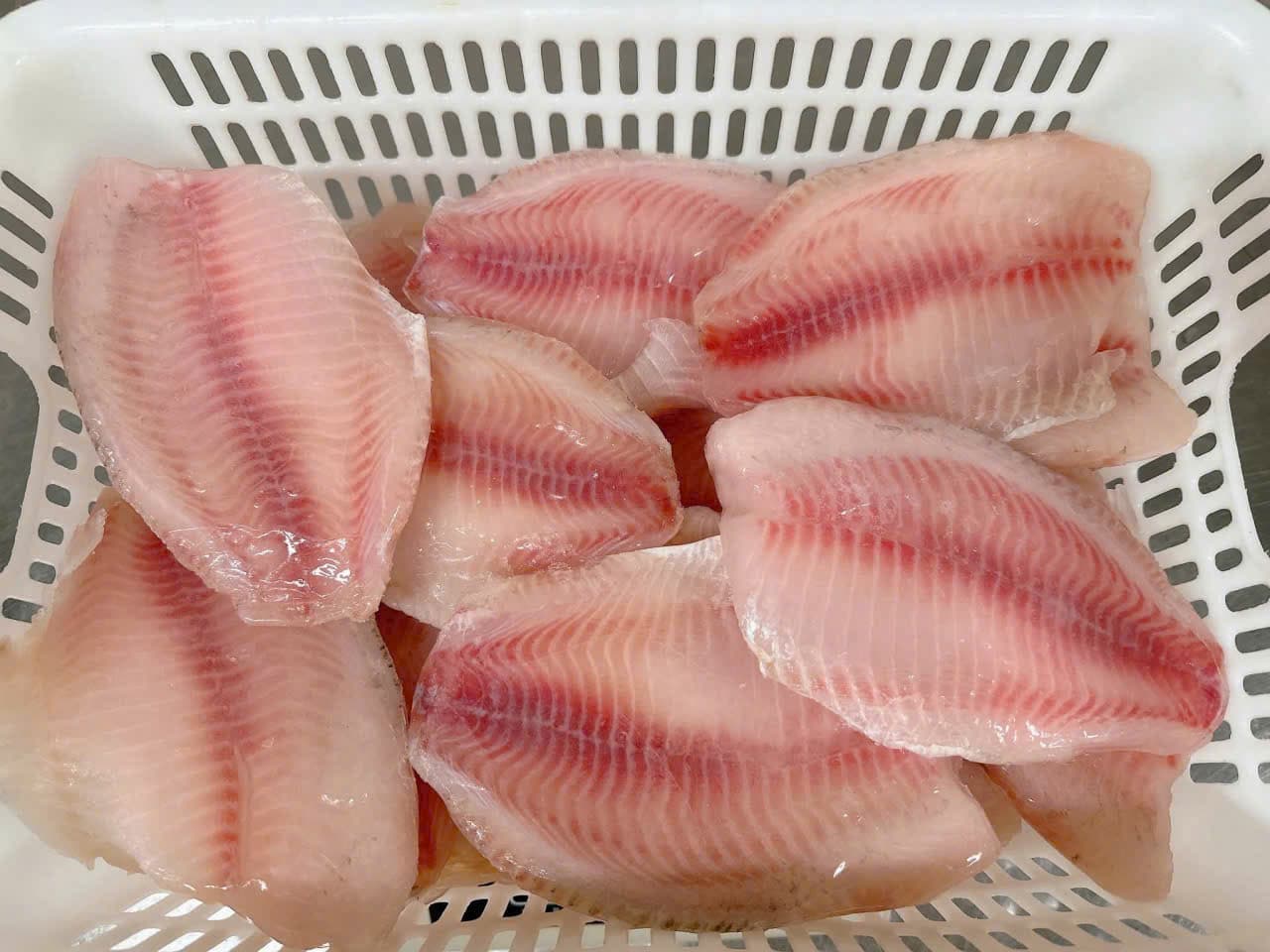 Tilapia – 9